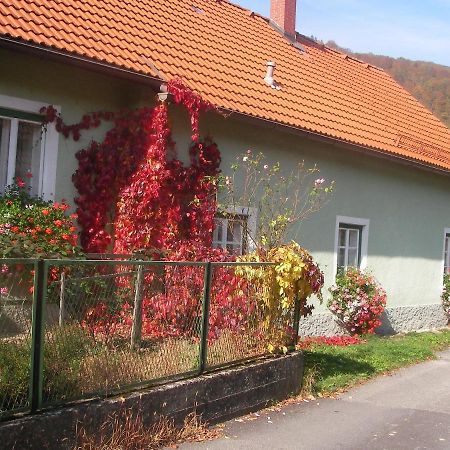 Haus Gerstbauer Apartment Aggsbach Екстериор снимка
